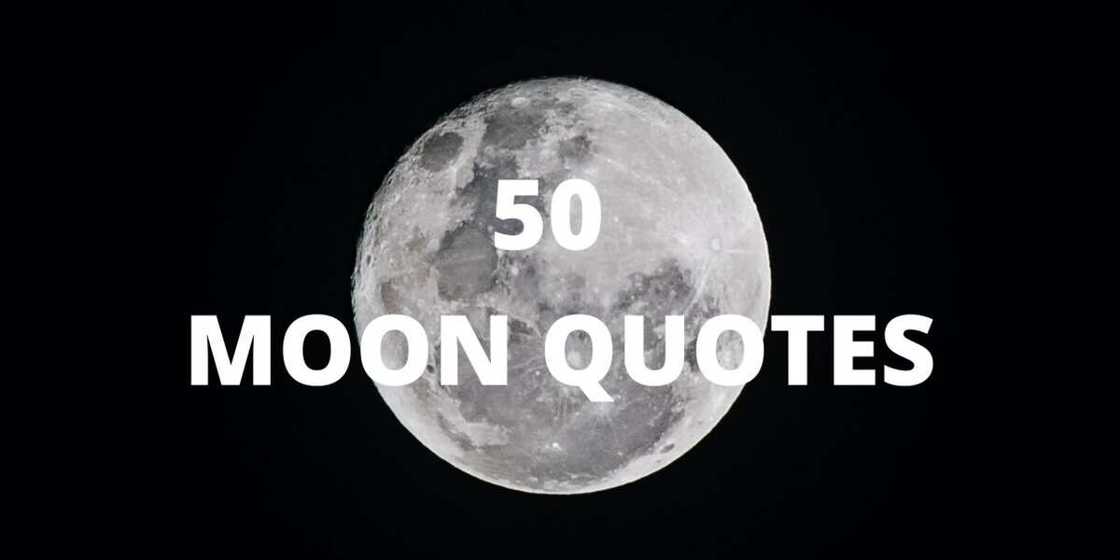 Moon quotes Moon quotes