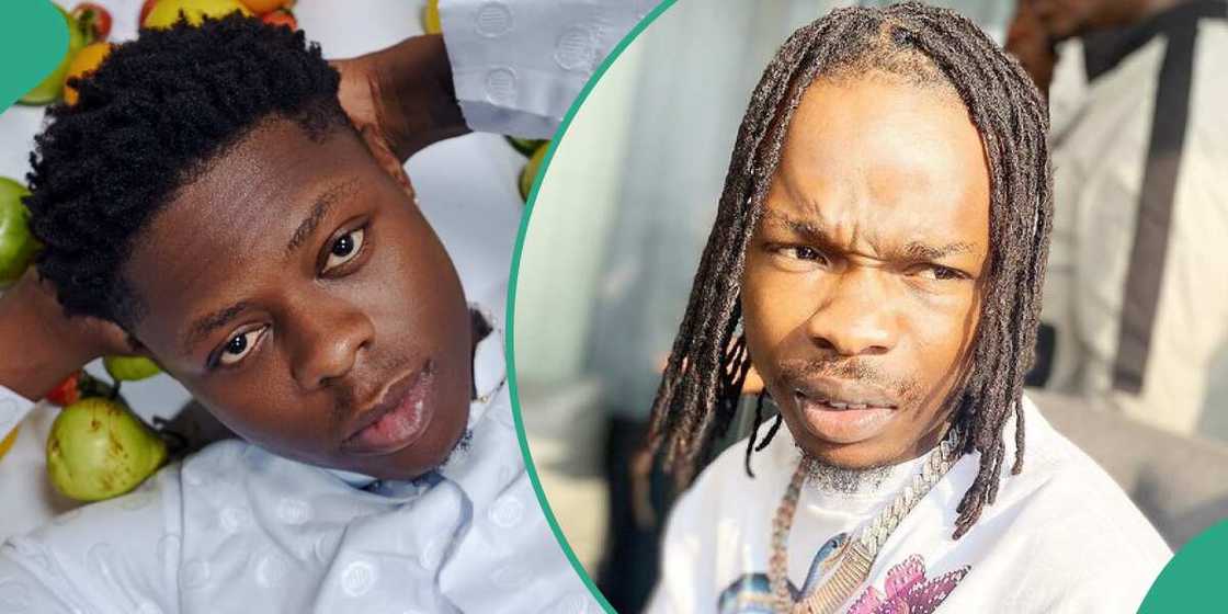 House of Reps, Naira Marley, Mohbad House of Reps, Naira Marley, Mohbad