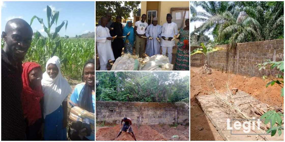 Chiemezie Ezeani: Another Nigerian Graduate who Has Taken Farming as a Full Time Occupation, Shares His Story