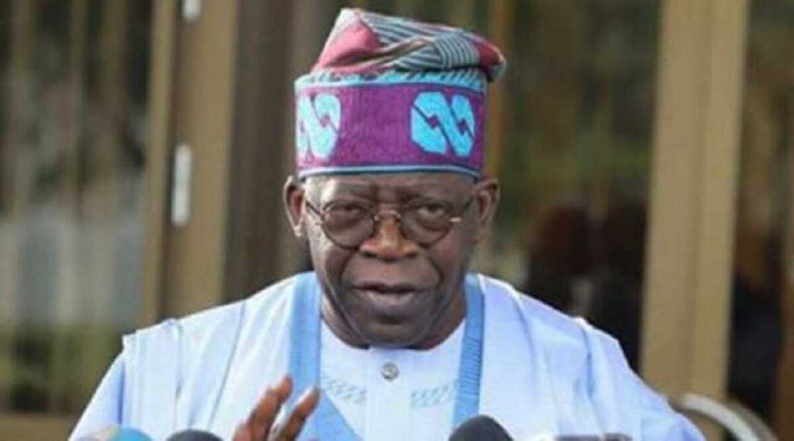 Jibrin: Gwamnoni 14 suna goyon bayan Tinubu kan kudirinsa na dare wa kujerar Buhari a 2023 Jibrin: Gwamnoni 14 suna goyon bayan Tinubu kan kudirinsa na dare wa kujerar Buhari a 2023