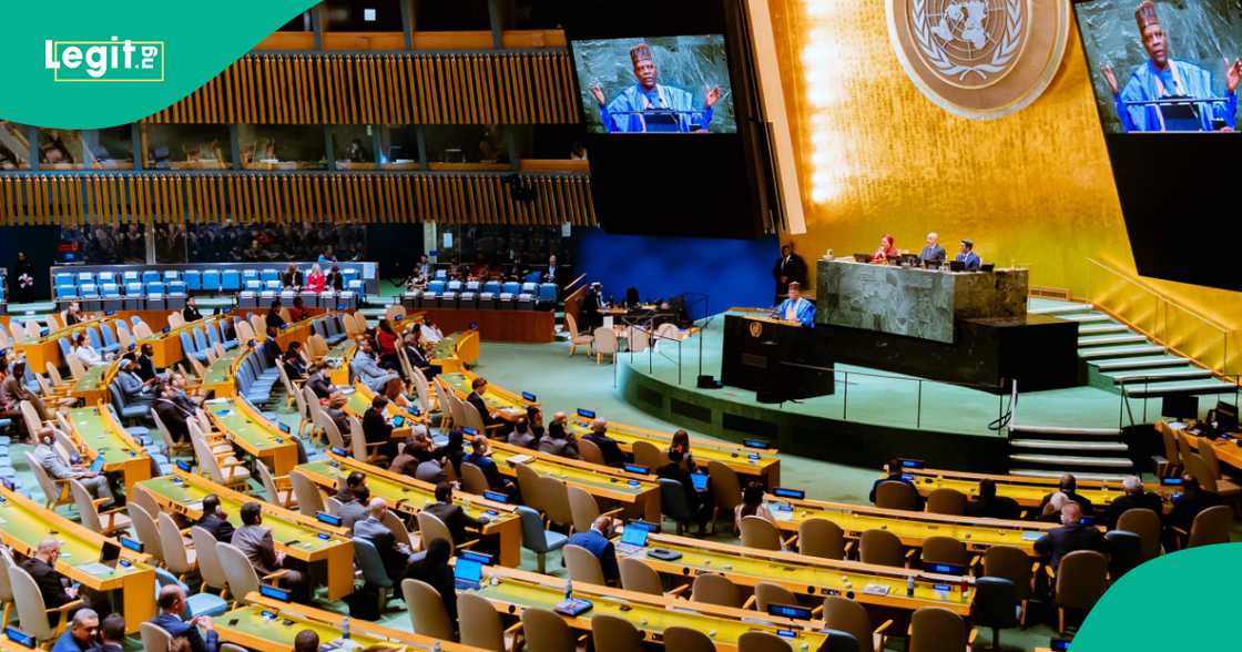 Sanata Kashim Shettima.