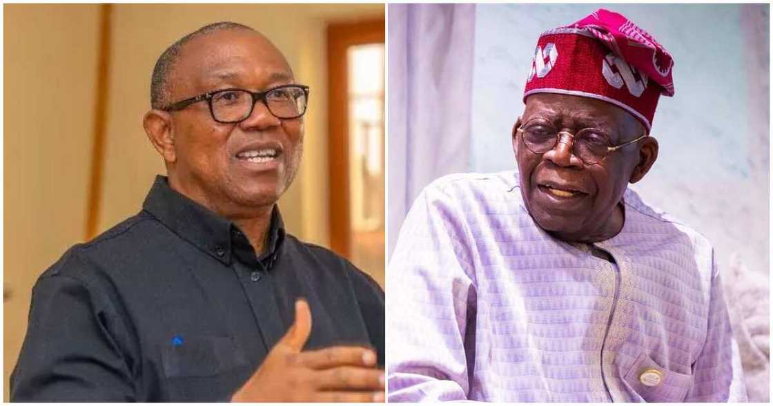 Peter Obi vs Bola Tinubu/Latest about Bola Tinubu