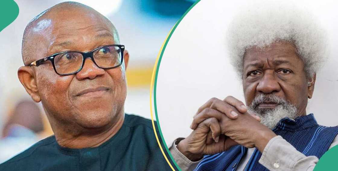 Wole Soyinka blasts Obi and LP supporters Wole Soyinka blasts Obi and LP supporters