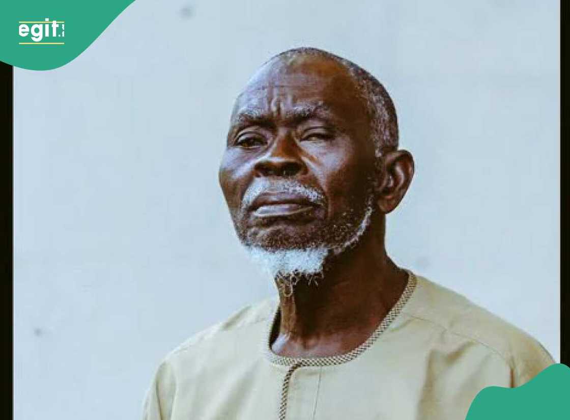 Lamidi Apapa, shugaban tsagin LP. Lamidi Apapa, shugaban tsagin LP.