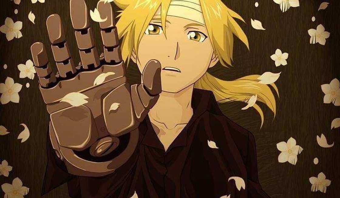 what anime should i watch what anime should i watch