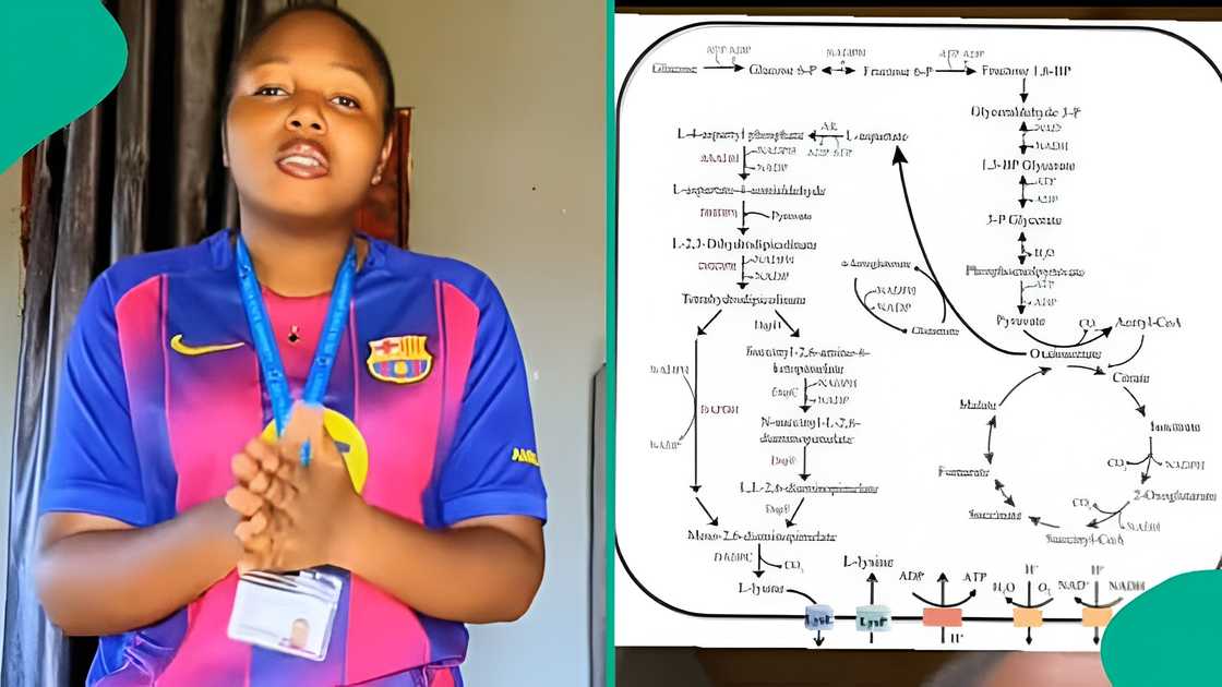 Delsu student posts big diagram ahead of final exam