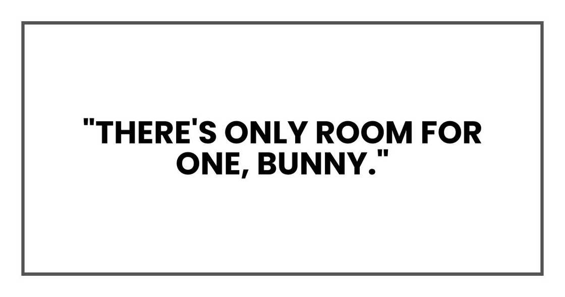"There's only room for one, Bunny."