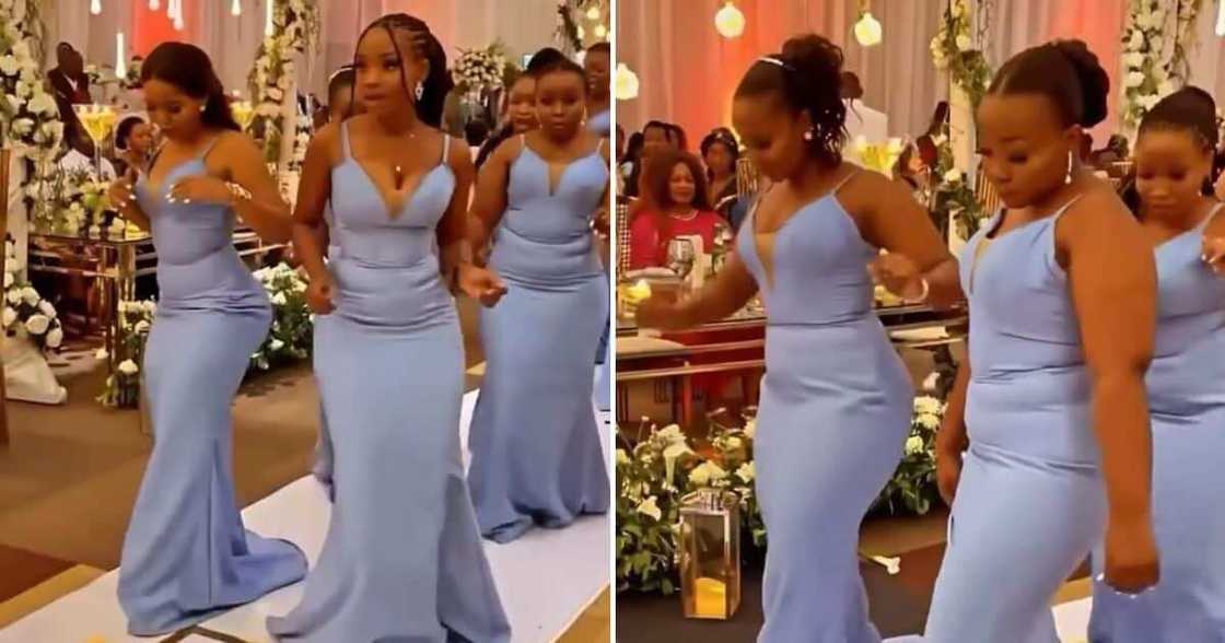 Video, Curvy Bridesmaids, Tight Dresses, 1M Views