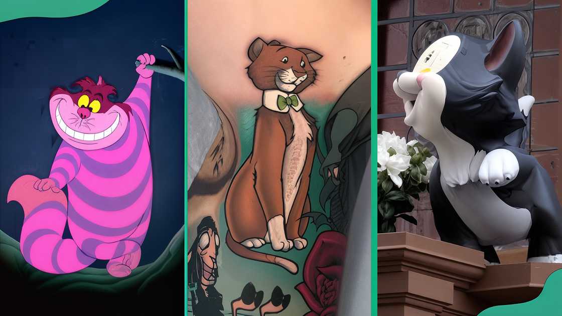 Cheshire cat (L), Thomas O'Malley (C), Figaro (R) Cheshire cat (L), Thomas O'Malley (C), Figaro (R)