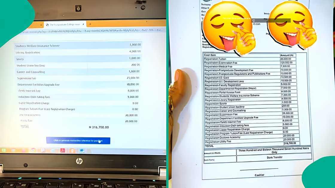 University of Ibadan PhD student goes online to reveal her fees receipts