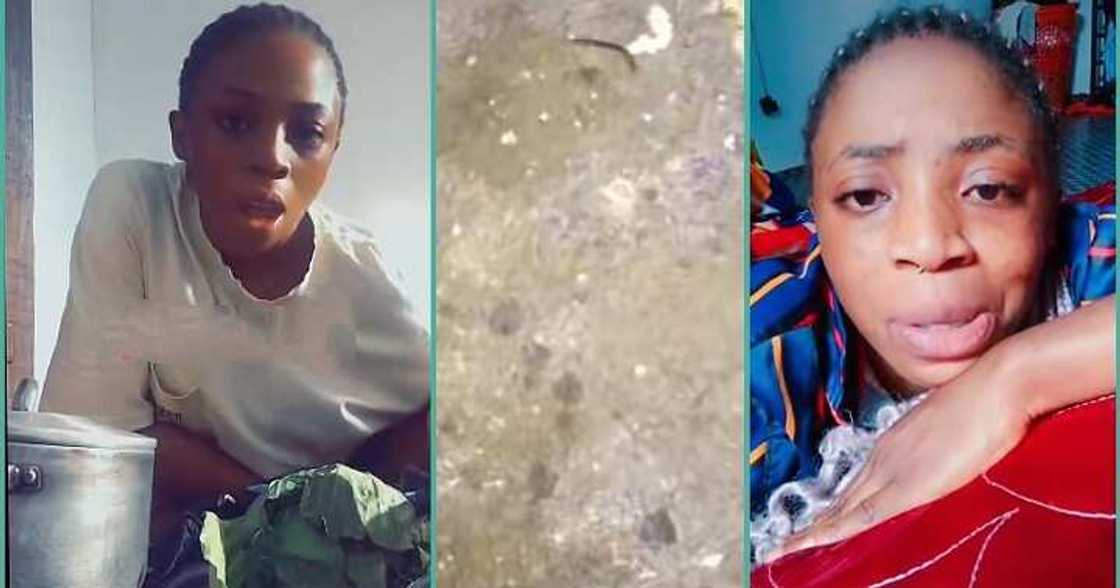 Lady displays centipede she found in her house Lady displays centipede she found in her house