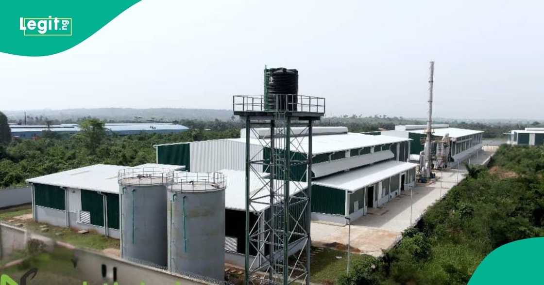 Neveah Commences Production at its new 44,000 MT Recycling Plant Neveah Commences Production at its new 44,000 MT Recycling Plant