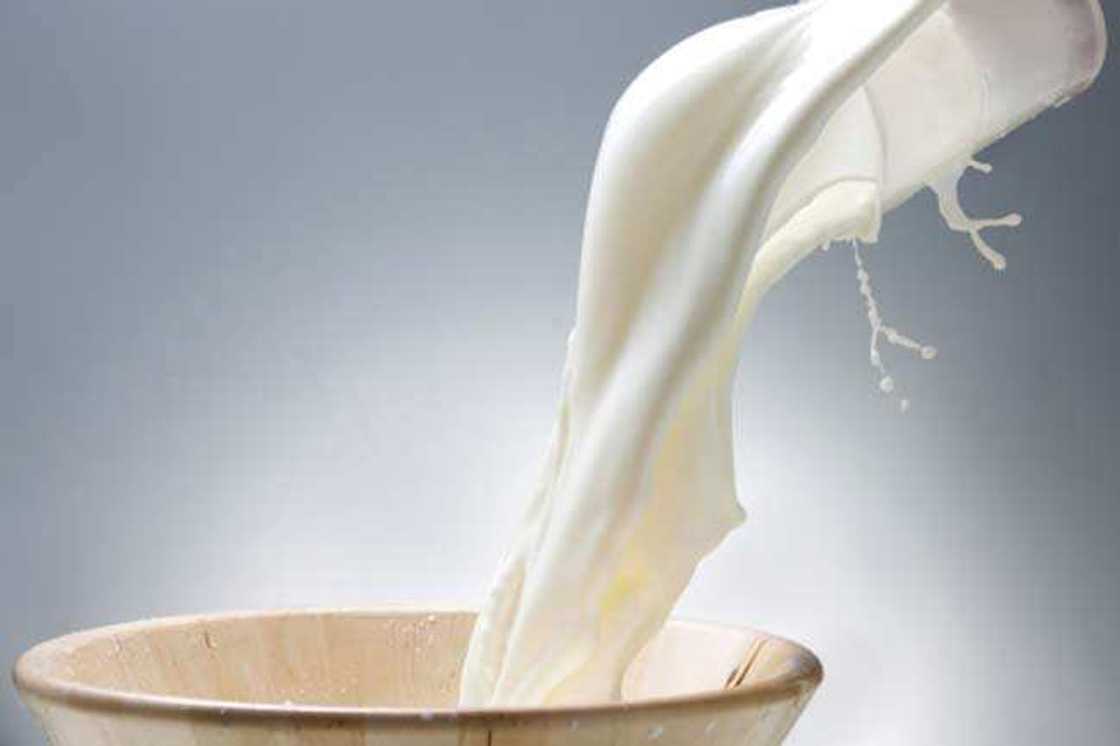 What type of milk is best for skin care goat or cow milk? What type of milk is best for skin care goat or cow milk?