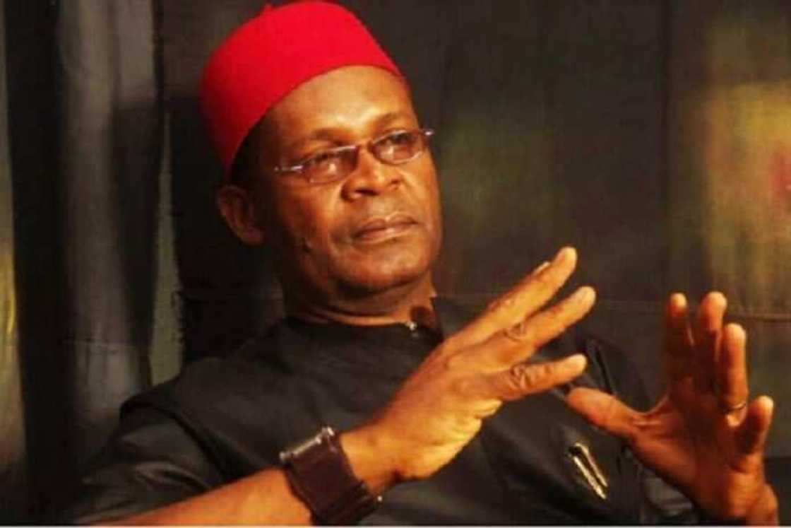 Igbo candidate can’t be trusted, Joe Igbokwe says Igbo candidate can’t be trusted, Joe Igbokwe says