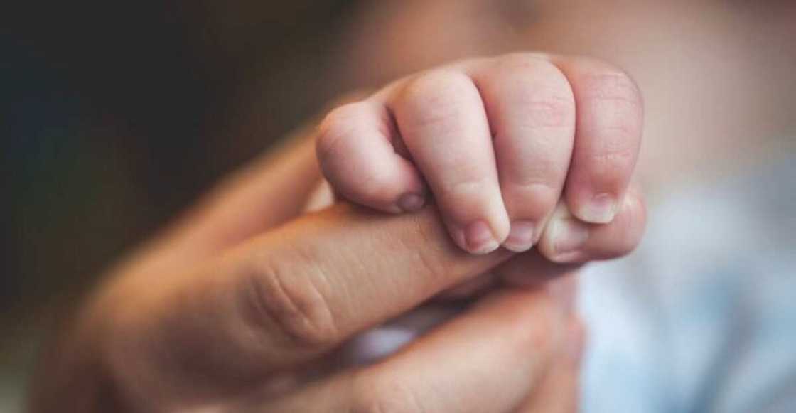 Sabuwar haihuwa Sabuwar haihuwa