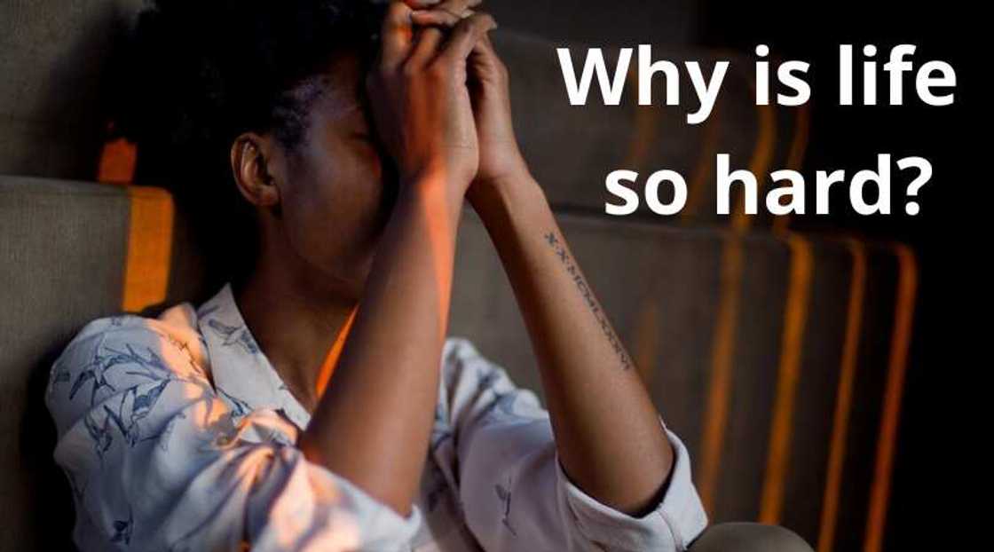 why is life so hard why is life so hard