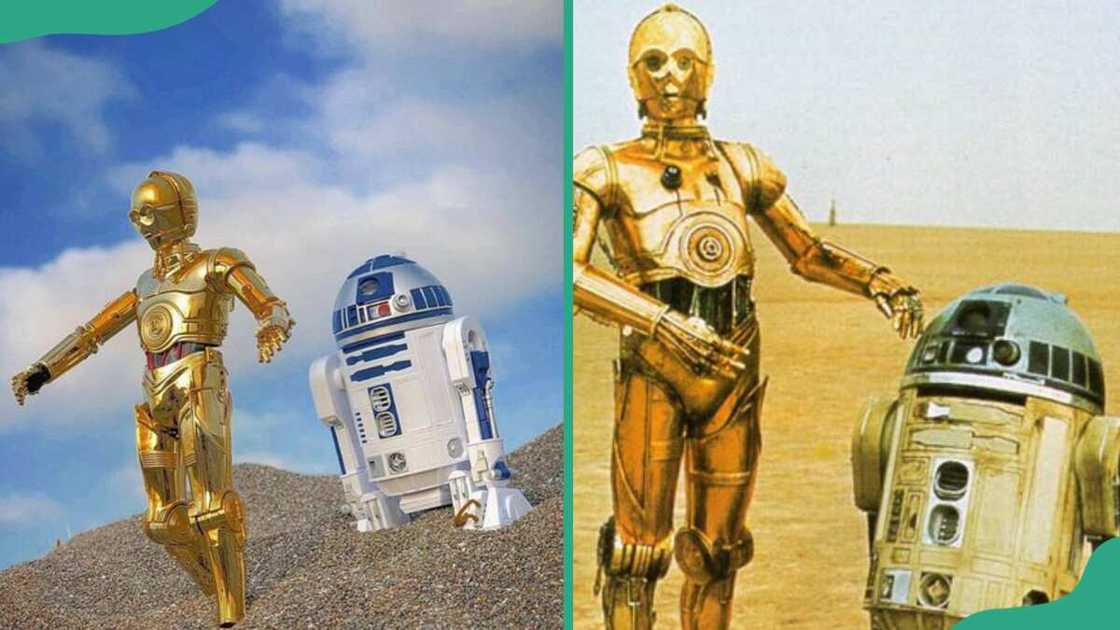 C-3PO and R2-D2 C-3PO and R2-D2