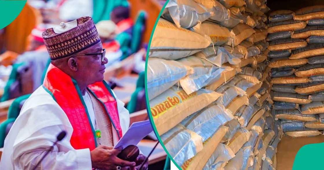 Abdullahi Balarabe Dabai. Abdullahi Balarabe Dabai.