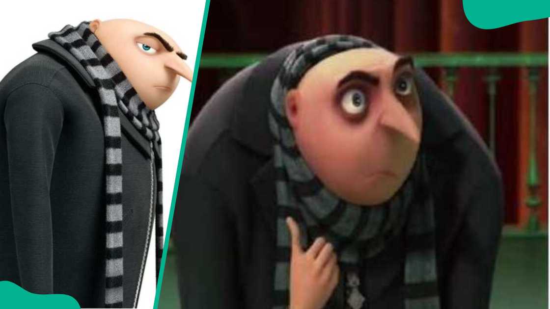 Felonious Gru from The Despicable Me Franchise Felonious Gru from The Despicable Me Franchise