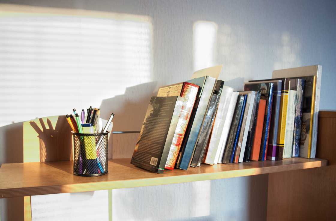 A sunlit bookshelf at home.