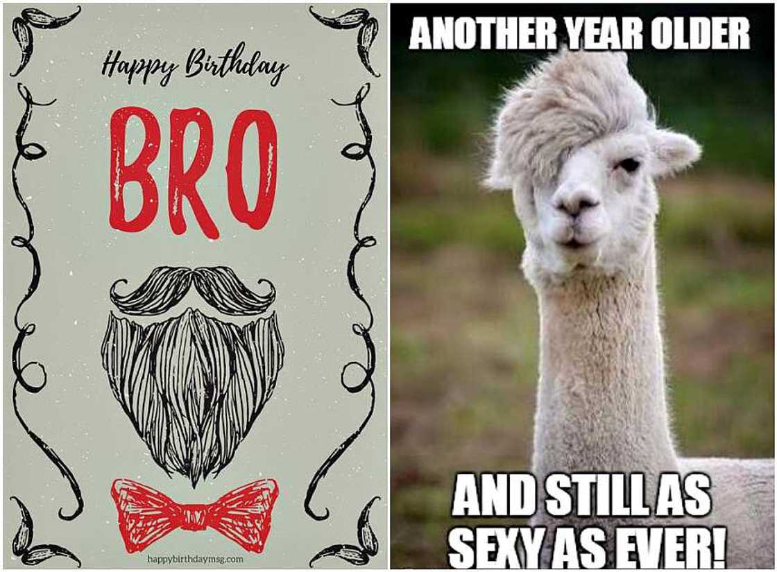 Birthday wishes for a cool buddy Birthday wishes for a cool buddy