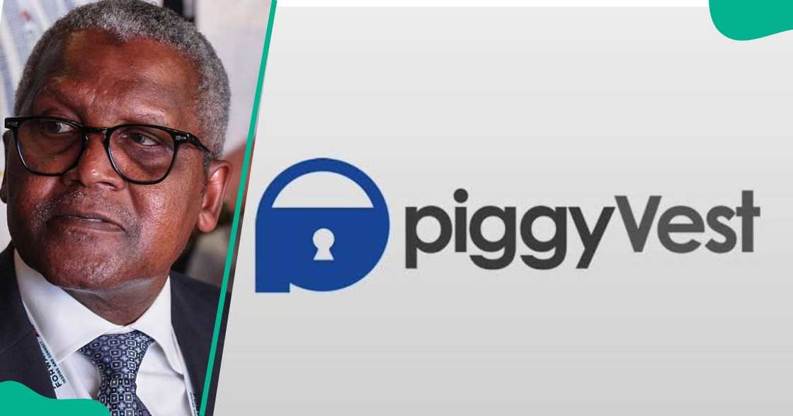 Dangote IPO crashes major sites as Piggyvest open investment to Nigerians Dangote IPO crashes major sites as Piggyvest open investment to Nigerians