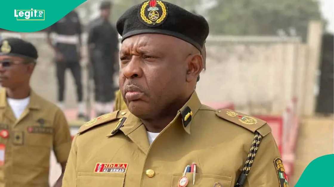 NDLEA ta kama akuskura a Kano