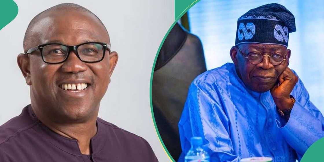 Jigon APC ya soki Peter Obi kan badakalar takardun Tinubu