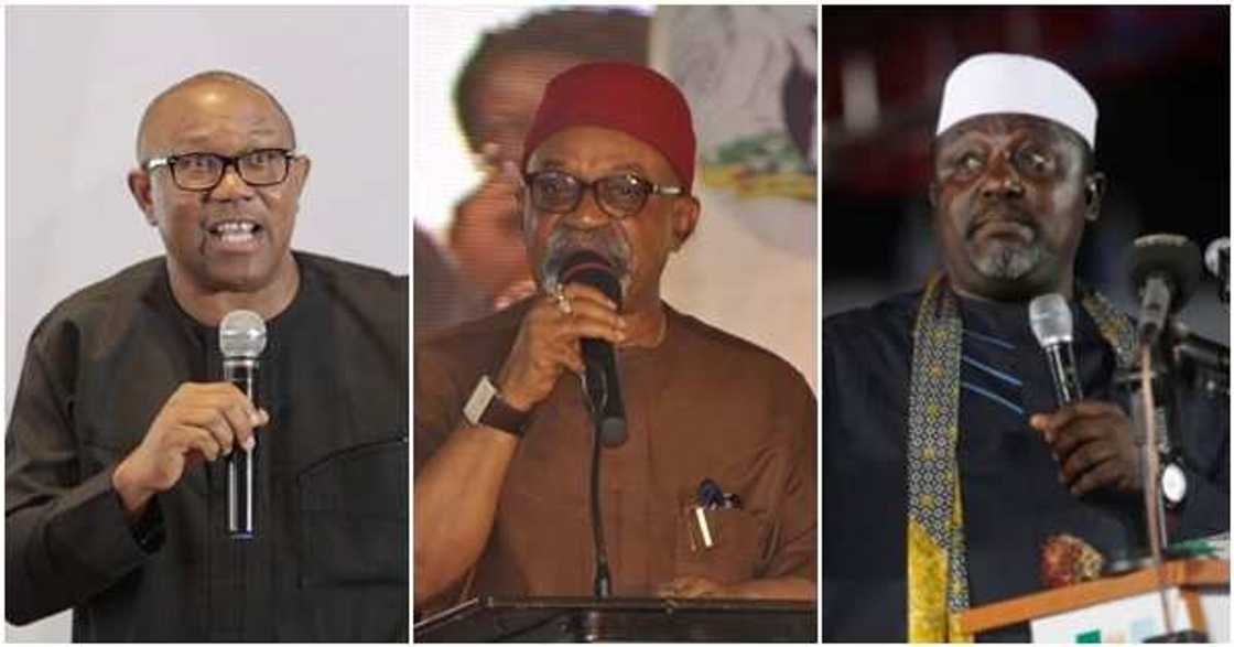 2023: Group releases names of 11 candidates for Igbo presidency (see list)