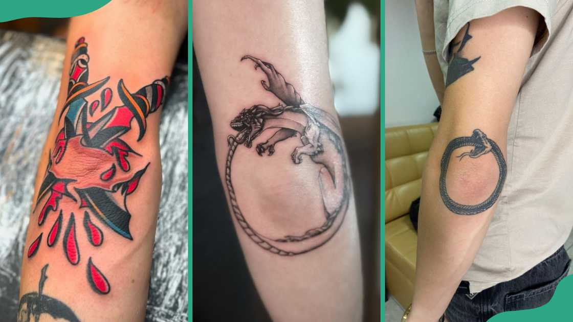 Dagger (R), ouroboros (C), and snake (R) Dagger (R), ouroboros (C), and snake (R)