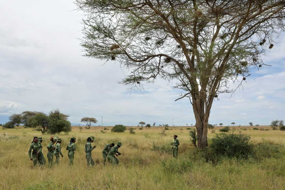 A Maasai solidarity NGO has called for a five-year pause on all such schemes until they can be properly evaluated