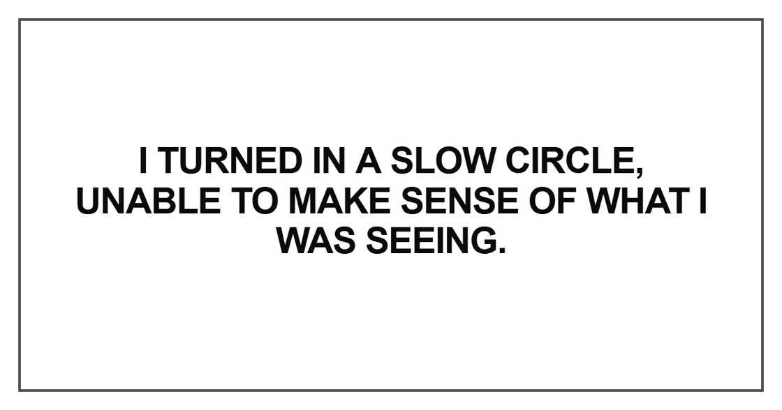 I turned in a slow circle I turned in a slow circle
