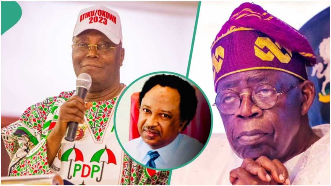 Bola Tinubu/Atiku Abubakar/Shehu Sani/Chicago State University/APC/PDP/Kaduna/2023 Election