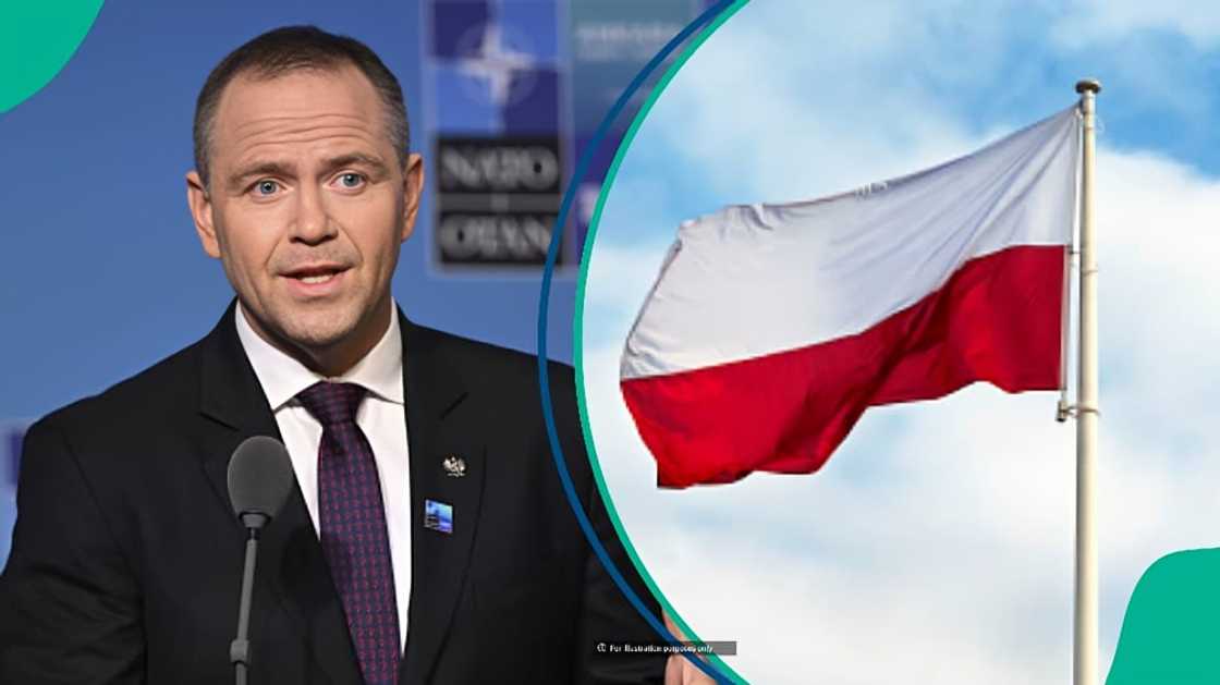 Poland opens job platform for foreigners, explains how to find jobs Poland opens job platform for foreigners, explains how to find jobs