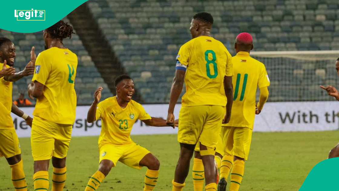 Zimbabwe coach Michael Nees has reflected on his team's performance against the Super Eagles of Nigeria. Zimbabwe coach Michael Nees has reflected on his team's performance against the Super Eagles of Nigeria.