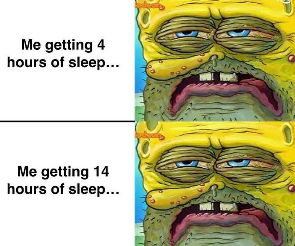 30+ relatable tired meme ideas to exchange with your coworkers 30+ relatable tired meme ideas to exchange with your coworkers