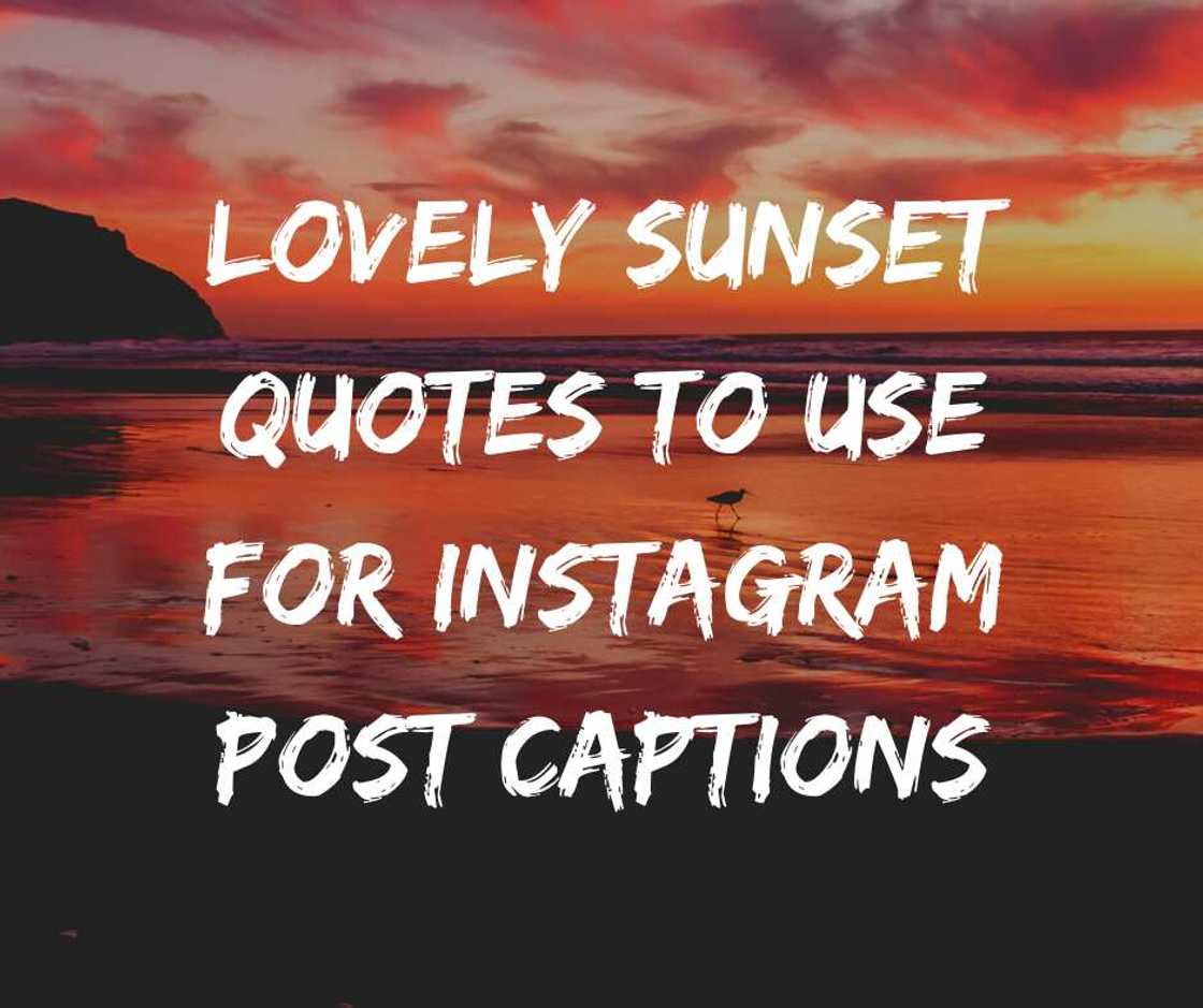 What makes sunsets so beautiful? What makes sunsets so beautiful?