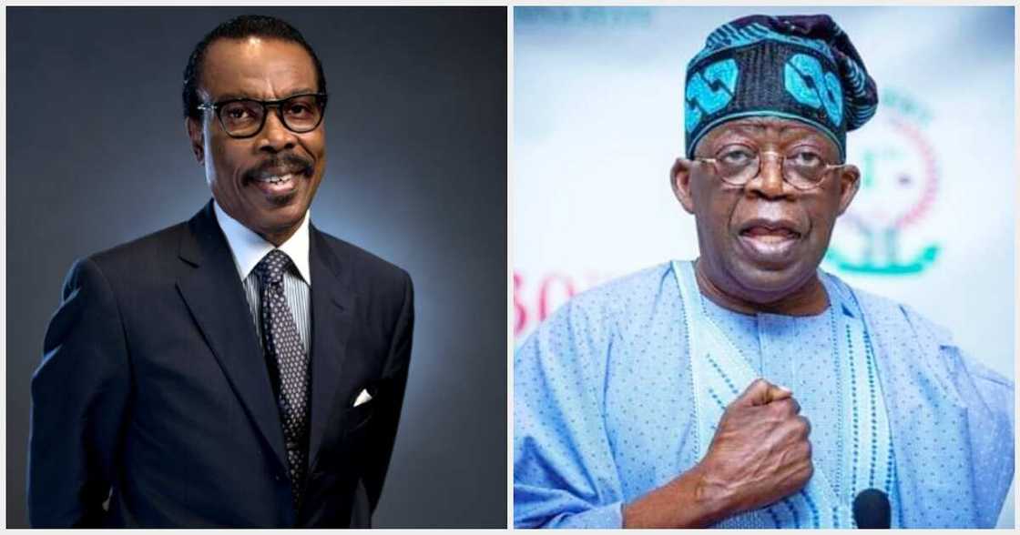 Nigerian economy, Bismark Rewane Nigerian economy, Bismark Rewane