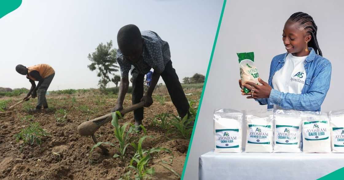 Empowering farmers today to create stronger, more stable communities tomorrow. Empowering farmers today to create stronger, more stable communities tomorrow.