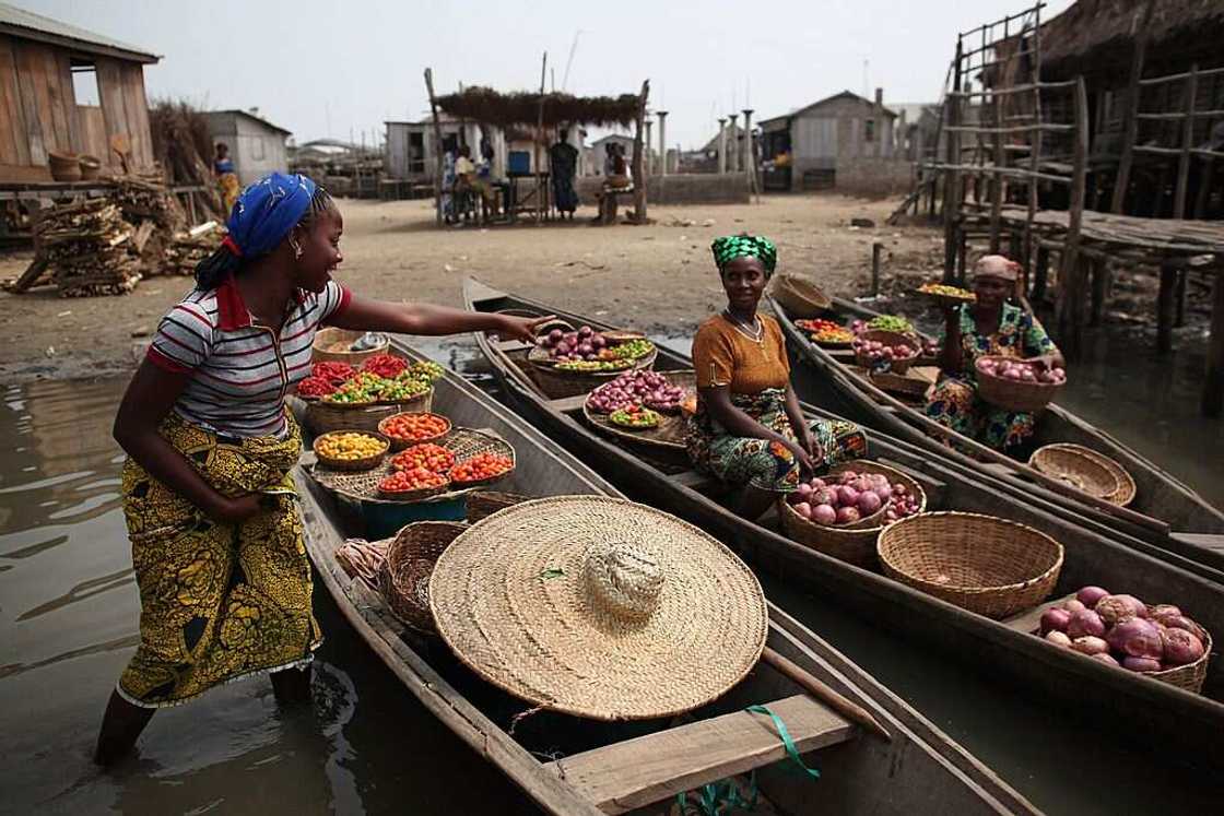 Farming, Fintect, logistics, telecoms Farming, Fintect, logistics, telecoms