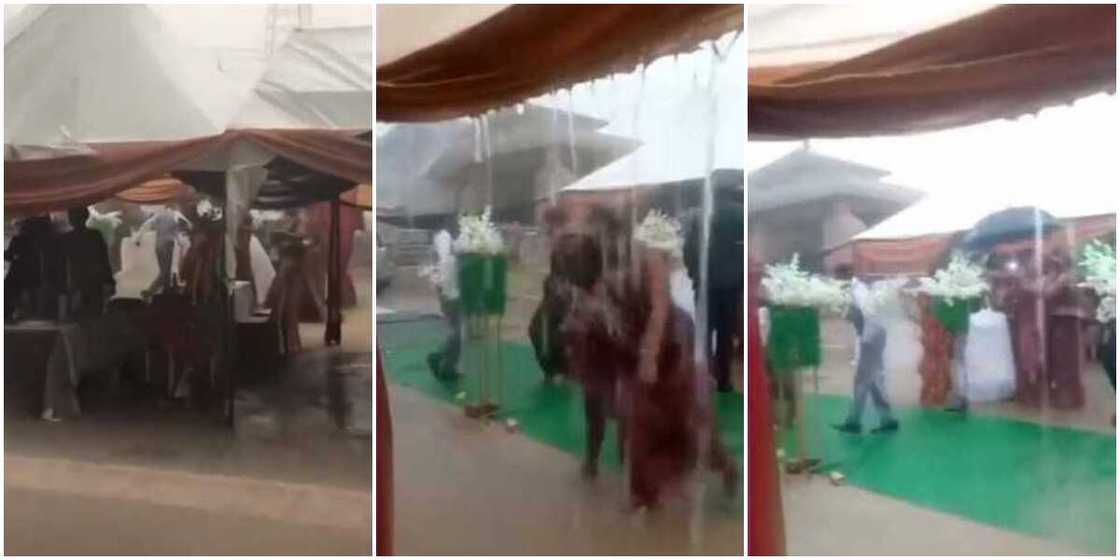 Reactions as couple, guests and bridesmaids defy rain at their wedding in Ogun state to showcase dance skills Reactions as couple, guests and bridesmaids defy rain at their wedding in Ogun state to showcase dance skills