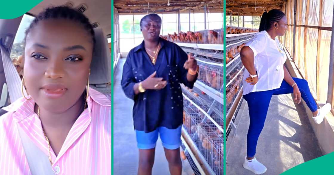 Poultry farmer cries out after visiting her farm unannounced. Poultry farmer cries out after visiting her farm unannounced.