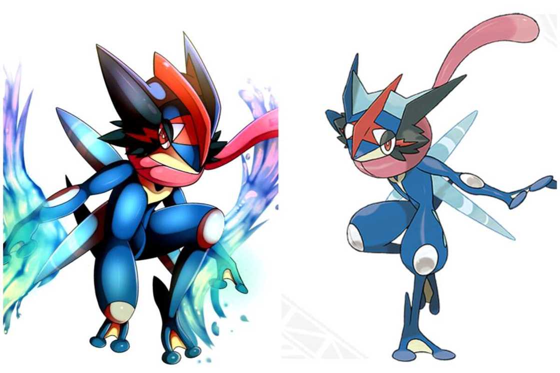 best-looking Pokemon best-looking Pokemon