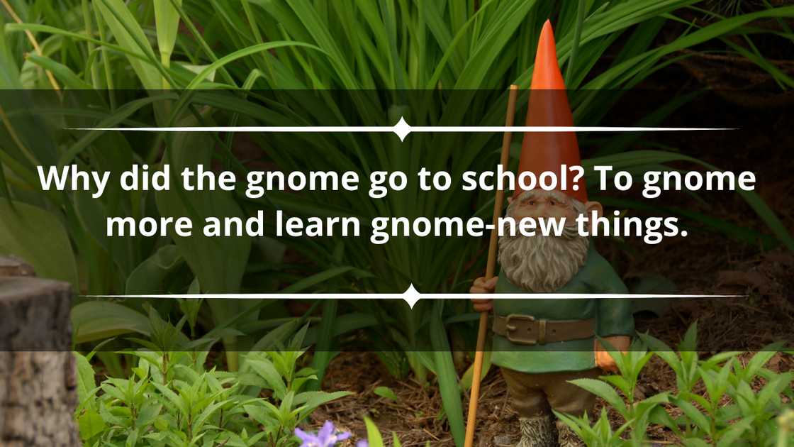 Cute gnome puns Cute gnome puns