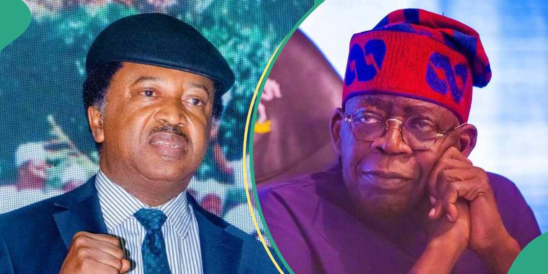 Shehu Sani/Latest about Bola Tinubu Shehu Sani/Latest about Bola Tinubu