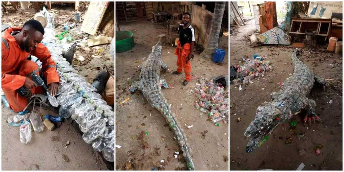 Nigerian man creates a 'moving' crocodile out of plastic waste, photos cause stir, many thought it looked real Nigerian man creates a 'moving' crocodile out of plastic waste, photos cause stir, many thought it looked real