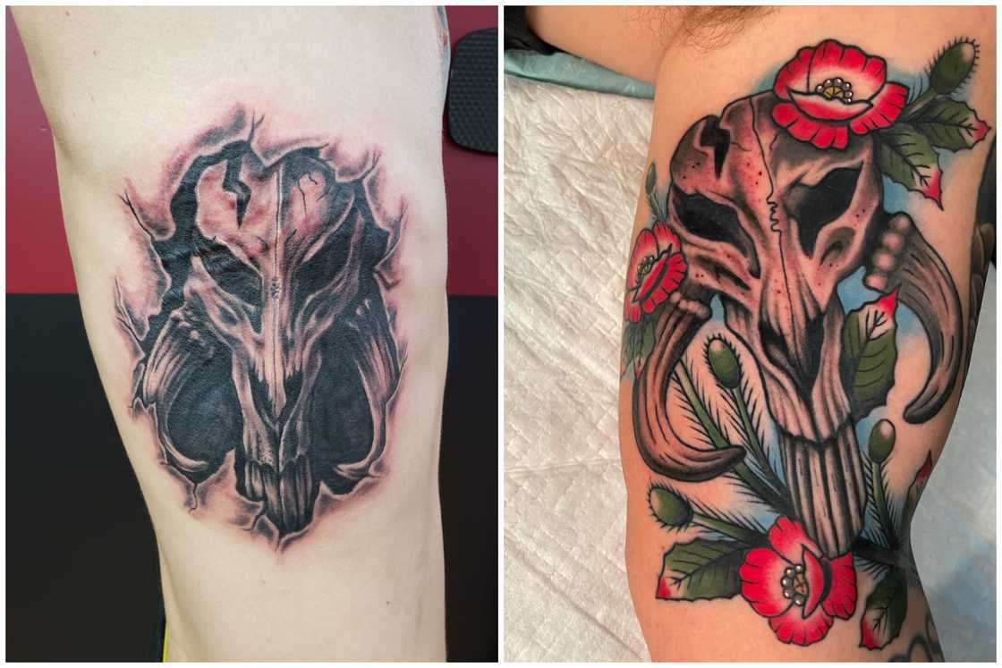 The Mythosaur Skull The Mythosaur Skull