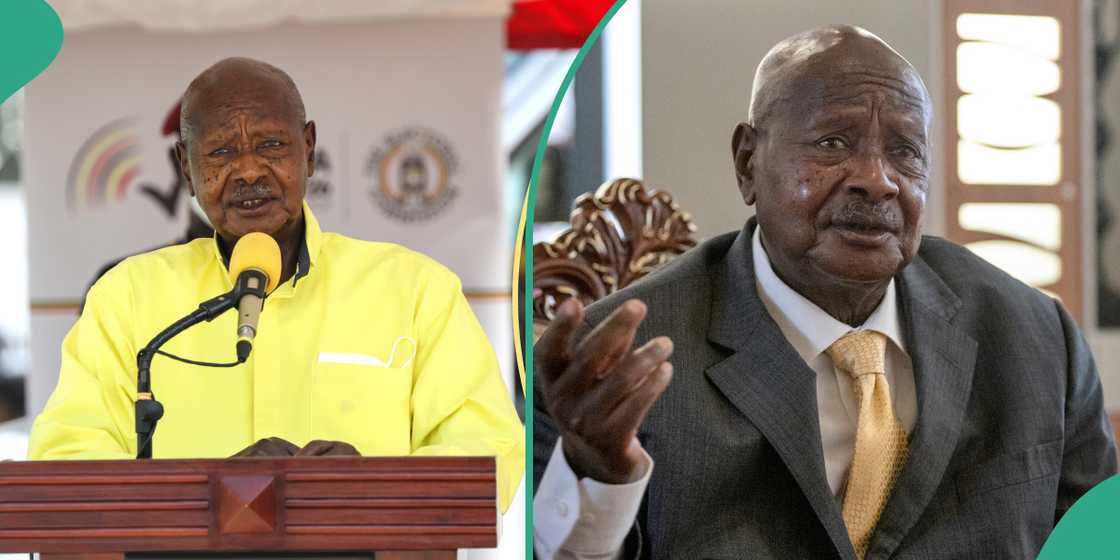 President Yoweri Museveni confirms the detention of two foreign activists.