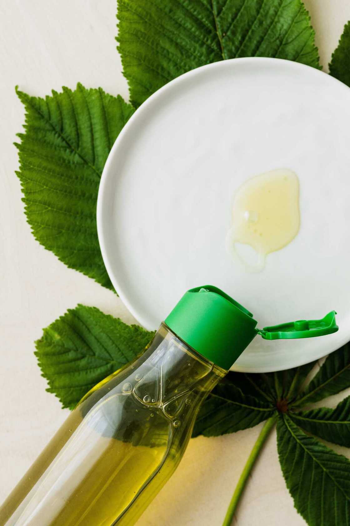 neem oil extract neem oil extract