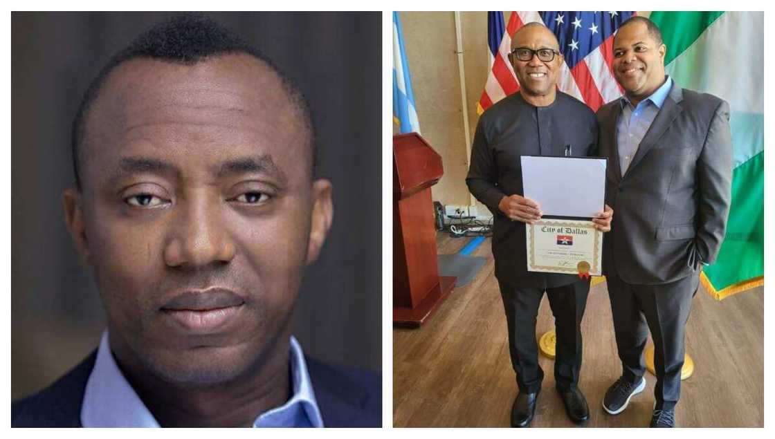 Peter Obi, Omoyele Sowore, 2023 election Peter Obi, Omoyele Sowore, 2023 election
